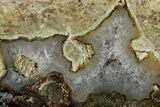 Polished Quartz Filled Thunderegg Half #302933-1